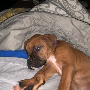 Meet your Posher, Kenny